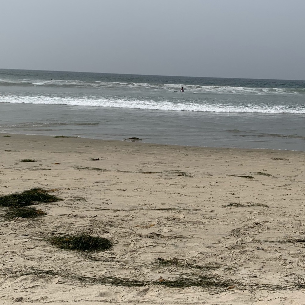 Meet your Posher, Nichole